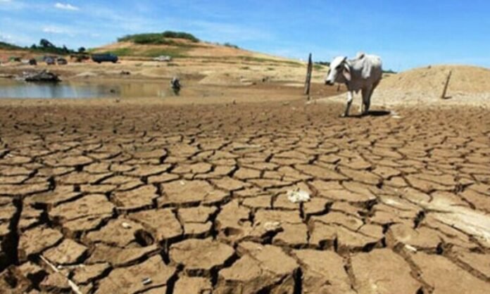 Macroeconomic impacts of climate change - Newspaper