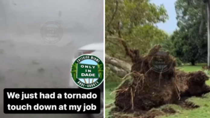 What is a downburst? NBC6 meteorologist explains how they form – NBC 6 South Florida
